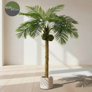 Puede incluir: Una palmera artificial alta en una maceta cilíndrica blanca. El árbol tiene un tronco marrón texturizado, frondas verdes y dos cocos verdes. La maceta está sobre un suelo de madera clara. El logotipo de "Salon Stems" está en la esquina superior izquierda.