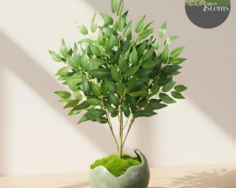 modern plant pots indoor Knox Cylinder Planter with Wood Base