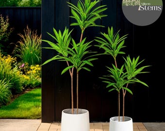 Planta tropical artificial. Hojas verdes artificiales, hojas de palo de Brasil artificiales, follaje de magnolia, adorno de jardín.