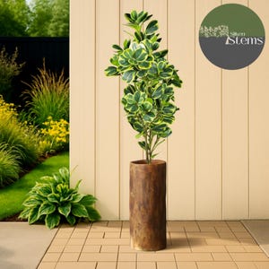 Op de afbeelding: Een hoge kunstplant met groen en geel blad in een bruine, cilindervormige plantenbak. De plantenbak heeft een textuur die op hout lijkt. De achtergrond toont een tuin en het logo "Silken Stems".