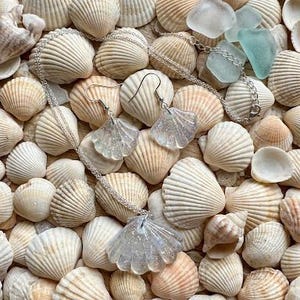 May include: A silver-toned necklace and matching pair of drop earrings, each featuring a translucent, fan-shaped seashell pendant embedded with fine, shimmering glitter particles. The jewelry set is displayed against a collection of natural seashells.