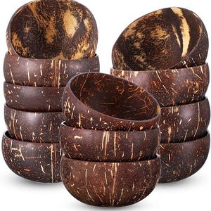 Coconut Shell Bowls