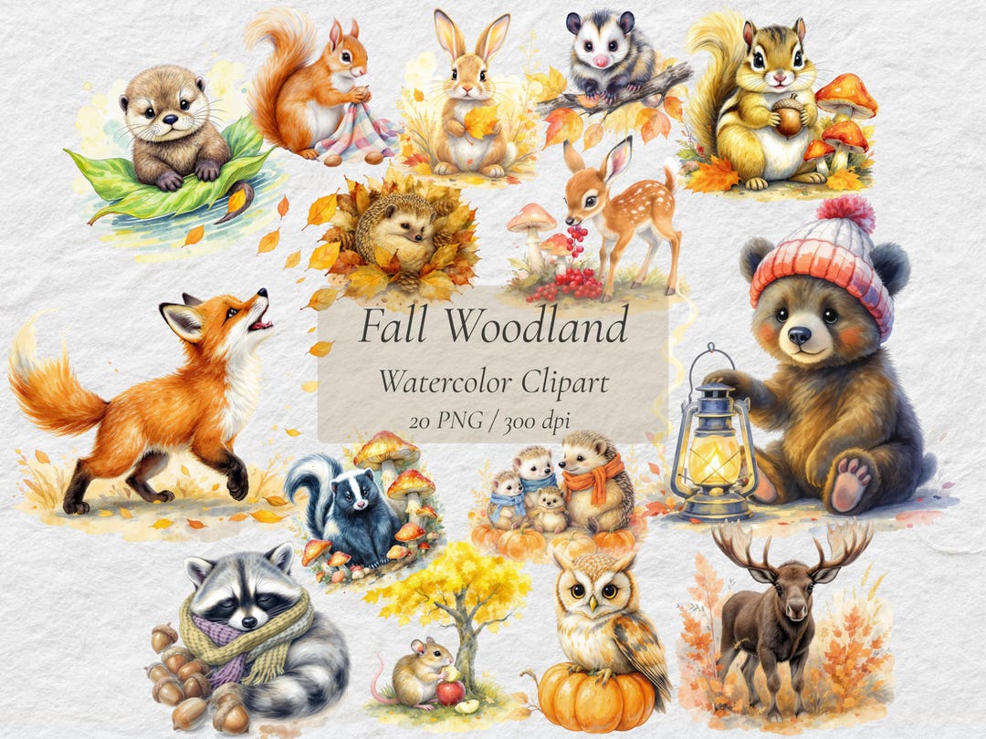 Cute Woodland Animals Fall Clipart Bundle | Watercolor Forest Creatures ...
