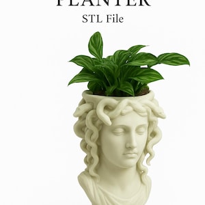 Medusa Head Planter STL-fil: Mytologidekor (digital nedladdning i 3D-utskrift)