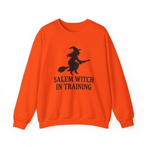 May include: An orange sweatshirt with a black graphic of a witch on a broomstick and the text "SALEM WITCH IN TRAINING". The sweatshirt is a crew neck style and is made of a soft material.