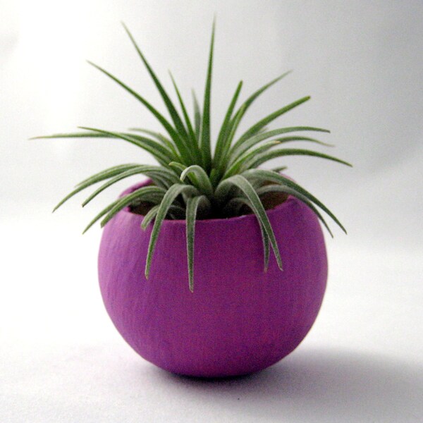 Mini Air Plant  Container Pod - Violet Plant Vessel // Planter // Home Decor // Terrarium // Gifts under 20