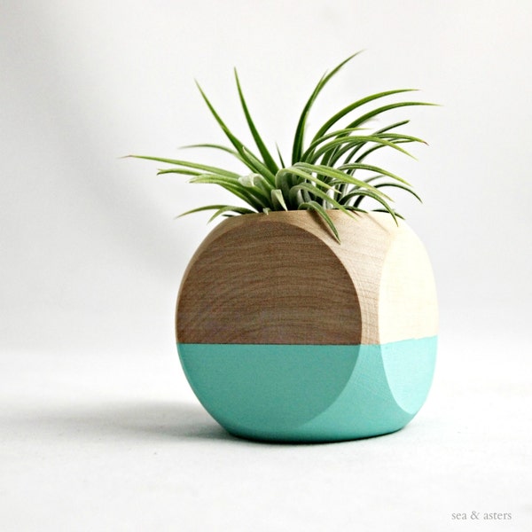 Mini Geometric Air Plant Planter // Aqua + Wood (with air plant)