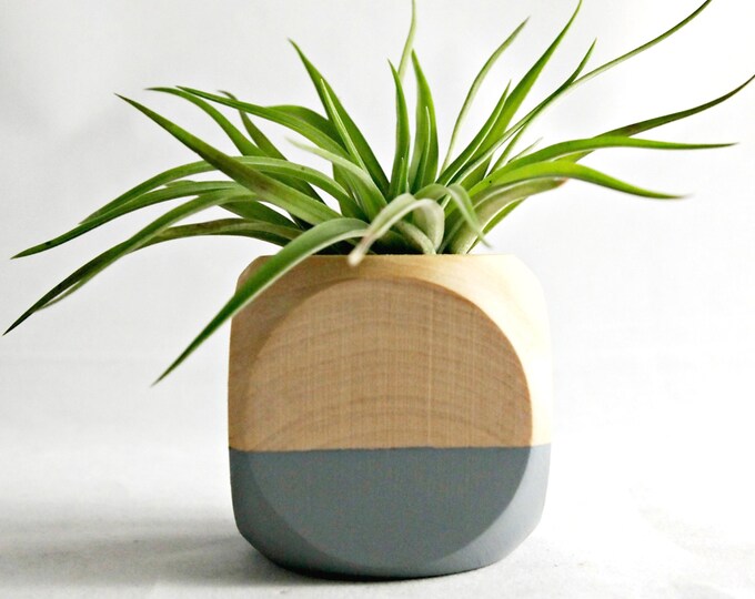 Air Plant Geometric Planter // Gray Natural Wood Colorblock Etsy
