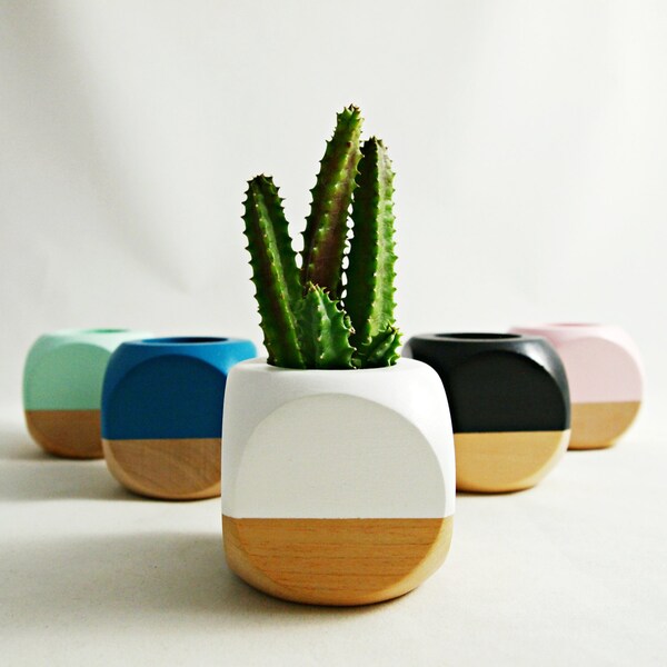 Geometric Succulent Cactus Planter (Plant not included)