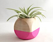 Mini Geometric Air Plant Planter // Neon Pink + Wood (with Air Plant)