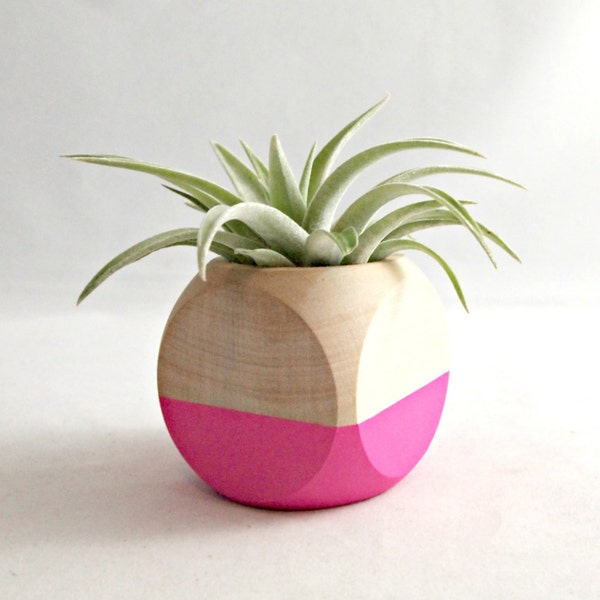 Mini Geometric Air Plant Planter // Neon Pink + Wood (with Air Plant)