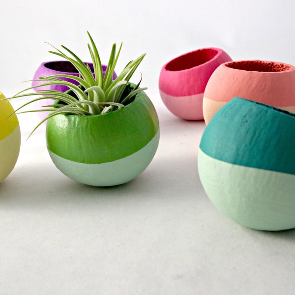 Ombre Colorblock Mini Air Plant Pods  (Plant Not Included) // Home Decor // Air Plant Planter