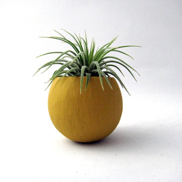 Mini Air Plant Container Pod - Mustard Yellow Planter // Vessel // Home and Garden // Gifts Under 20