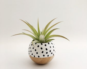 Mini Sphere Succulent Air Plant Planter | Black + White Speckle | Air Plant Holder | Plant Gift