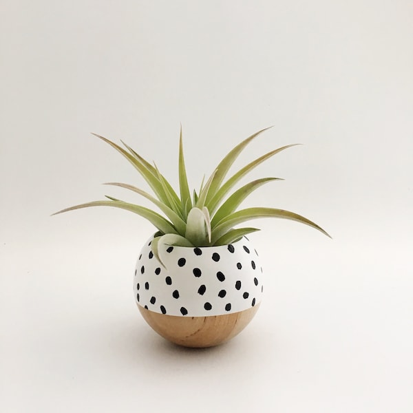 Mini Sphere Succulent Air Plant Planter | Black + White Speckle | Air Plant Holder | Plant Gift