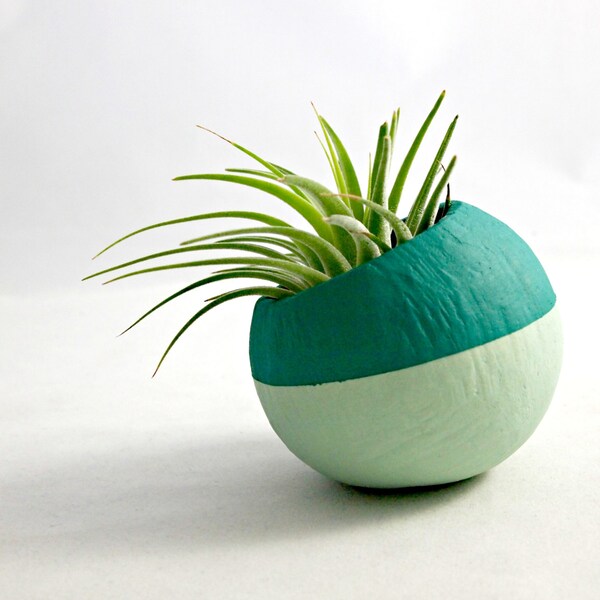 Mini Air Plant Teal Ombre Colorblock Pod // Air Plant Pot