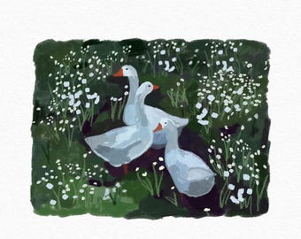 Geese in Meadow Art Print