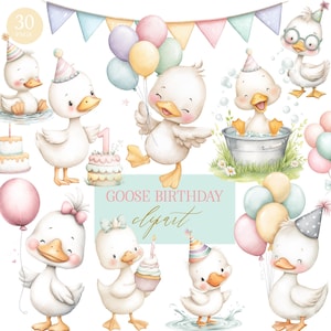 Silly Goose Birthday Clipart Bundle: Watercolor PNG (Digital Download)