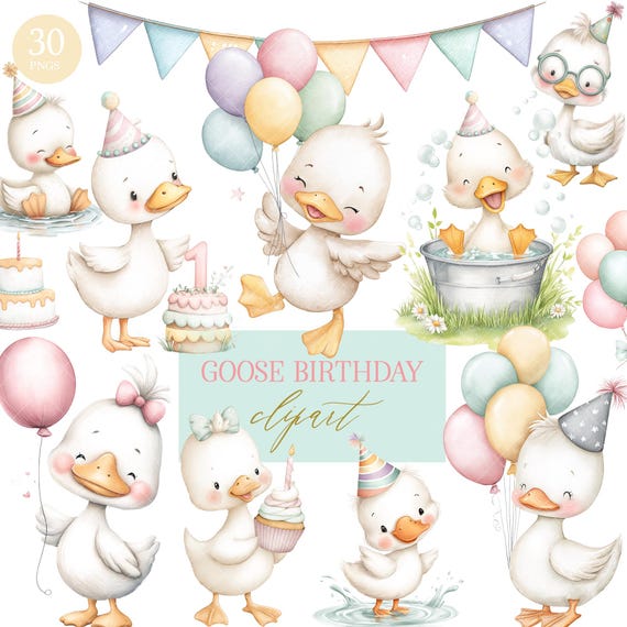 Silly Goose Birthday Clipart Bundle: Watercolor PNG (Digital Download)