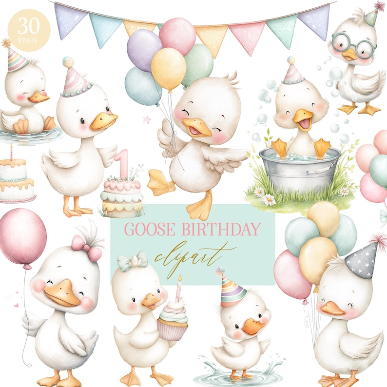 Silly Goose Birthday Clipart Bundle: Watercolor PNG (Digital Download)