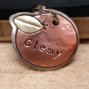 Identificación de perro naranja- Etiqueta de fruta- etiqueta de identificación de mascota personalizada para su perro- Clementine