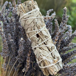 4&quot; Californian White Sage Smudge Stick, Shamanic, Cleansing, Healing, Meditation