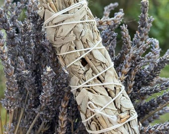 4" Californian White Sage Smudge Stick, Shamanic, Cleansing, Healing, Meditation