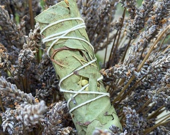 Bastoncino di eucalipto da 10 cm per purificazione sciamanica, curativa e meditativa.