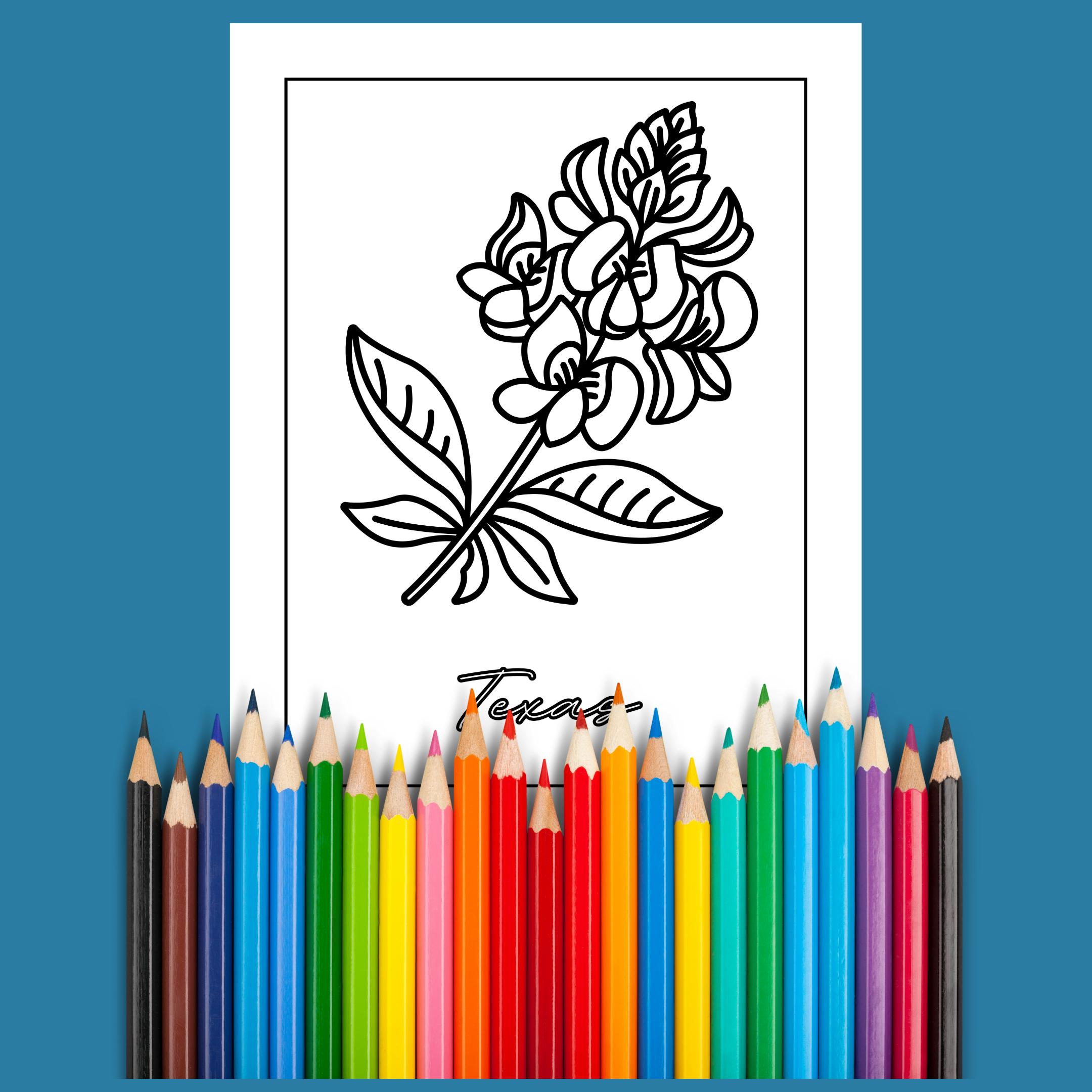State Flower Coloring Book - Digital Download - Minimalist - Relaxing ...