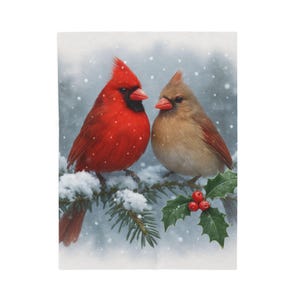 May include: A vibrant red male cardinal and a soft brown female cardinal perched together on a snow-covered pine branch. The scene features green holly leaves with bright red berries against a soft, snowy, and blurred winter background.