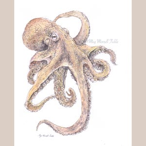 Octopus watercolour print