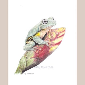 Frog watercolour print