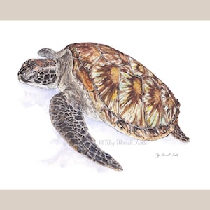Turtle watercolour print