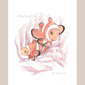 Clownfish watercolour print