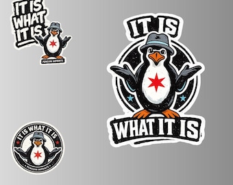 It Is What It Is Sticker Pack (3 Styles), Self Acceptance and ACT Therapy Quote, 6x6 Vinyl Stickers, Social Emotional & Feelings Sticker