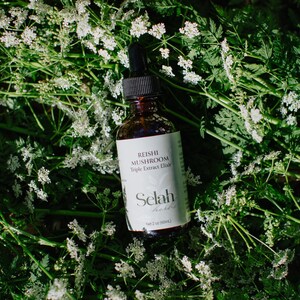 以下が含まれることがあります： Selah herbsの「Reishi Mushroom Triple Extract Elixir」とラベルされた、黒いドロッパーが付いた茶色のガラス瓶。ボトルは、小さな白い花が咲く緑の葉の中に置かれています。正味60ml。