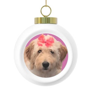 Personalized Christmas Ball Ornament, Festive Holiday Decor, Pet Lover Gift, Customizable Family Keepsake, Unique Tree Decoration