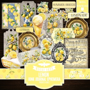 Könnte beinhalten: Eine Sammlung digitaler Junk-Journal-Ephemera mit Zitronenmotiven, darunter ein Stück Zitronenkuchen, Eiscreme, Vögel, Blumenarrangements, verzierte goldene Rahmen und Etiketten im Vintage-Stil mit Texten wie Summer Breeze und Citronale.