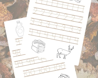 May include: Two white sheets of paper with black line drawings of an apple, oven mitts, a syrup bottle, a stack of towels, a deer, trees, and a slice of pie. The sheets also have lines for practicing writing numbers.