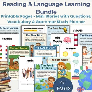 ESL Reading Comprehension Bundle, Mini Stories, Grammar, Vocabulary (PDF)