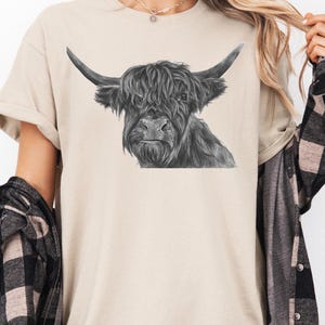 Highland Cow PNG