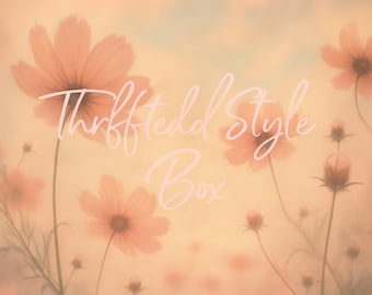 PassivePretty Thrifted Style Box | Handpicked Sustainable Outfits for Your Vibe