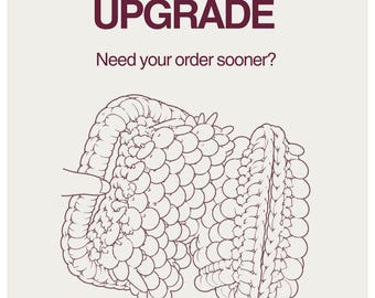 Rush Order Upgrade