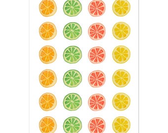 Citrus Fruit Envelope Stickers