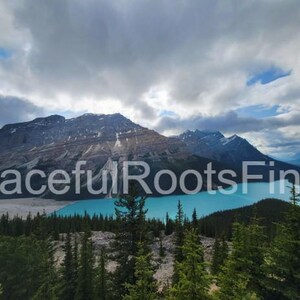 Peyto Lake Glory Foto - Banff