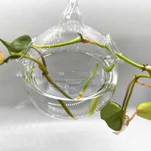 Glass Plant Propagation Globe- Handmade Hanging Ornament