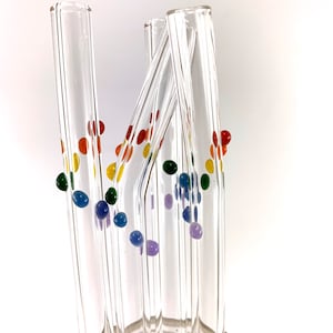 Rainbow Spiral Dots Straw Gift Set-  Set of 2 Straws- Clear Glass Drinking Straws with Free Cleaning Brush and Gift Wrap