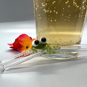 Green Frog and Ladybug on a Clear Glass Drinking Straw- 9 inches long, 9mm Bent Glass Straw- Free cleaning brush and gift wrap
