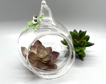 Handblown Glass Terrarium Ornament with Hand Sculpted Frog- Habitat for Succulent or AirPlant- Choose your favorite frog color
