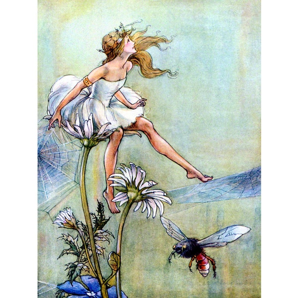 Flower Fairy Card - Faerie Princess Sits on Daisy with Bee - Florence Anderson Artwork